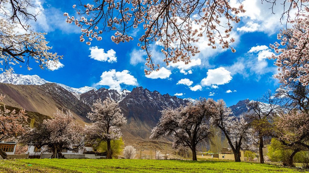 7 Day Budget Backpacker Tour Package