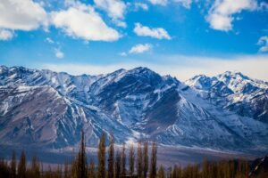 5 Days Frozen Ladakh Winter Wonderland Tour Package
