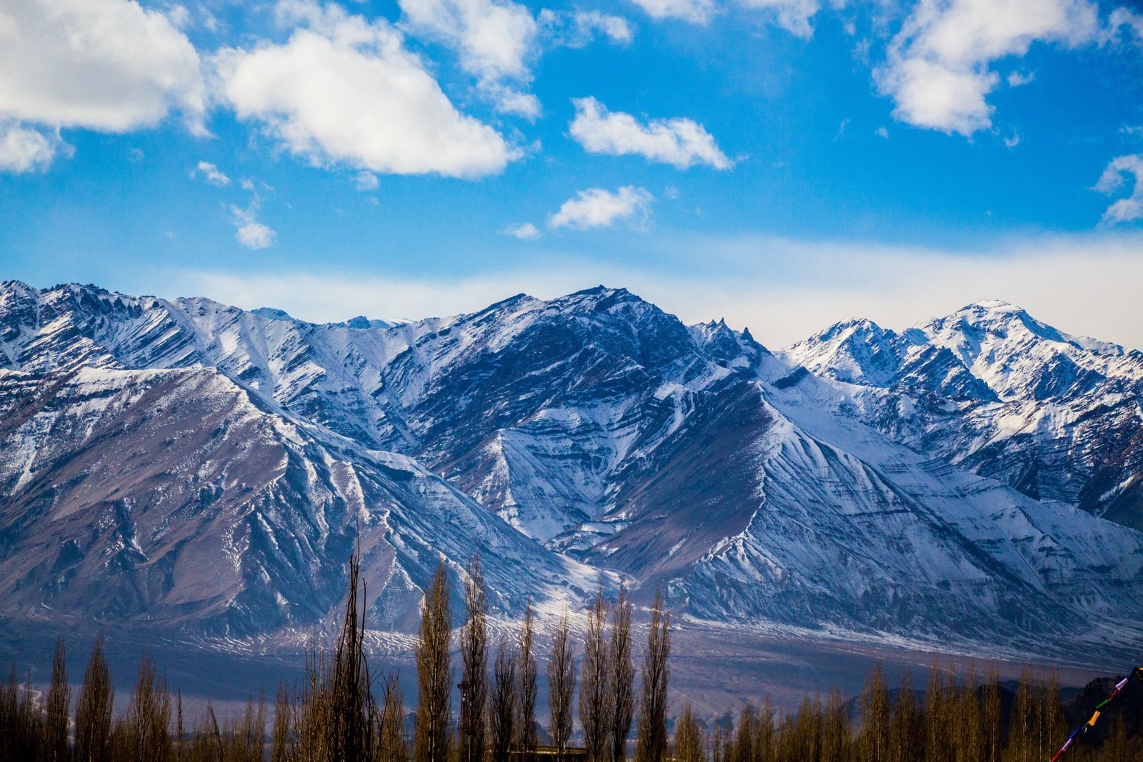 5 Days Frozen Ladakh Winter Wonderland Tour Package